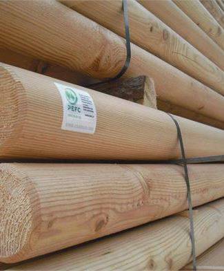 CASOLLA LEGNO S.R.L.