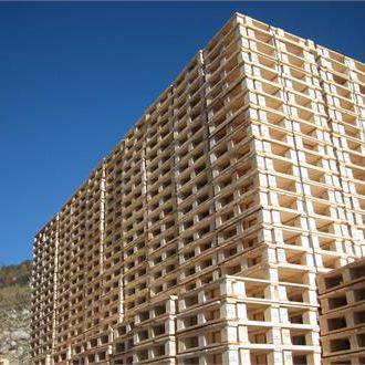 Pallets e imballaggi in legno