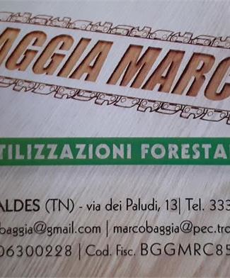 BAGGIA MARCO UTILIZZAZIONI FORESTALI