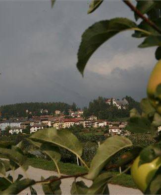 ARTIGIANATO TRENTINO DI WIDMANN SABRINA