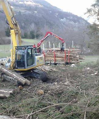 FOREST PEG S.N.C. DI PAOLO SANDRI E C.