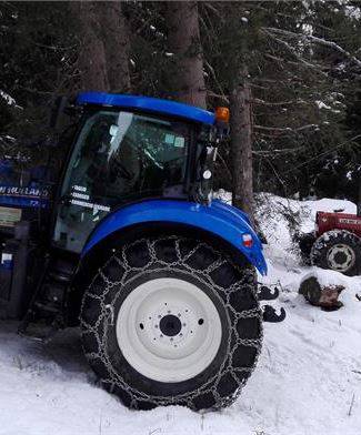 BAGGIA MARCO UTILIZZAZIONI FORESTALI