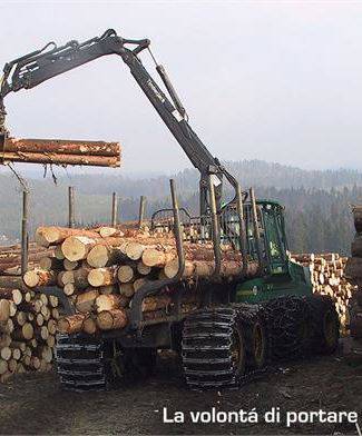 Raccolta, trasporto meccanizzato del legno e nella sua commercializzazione.