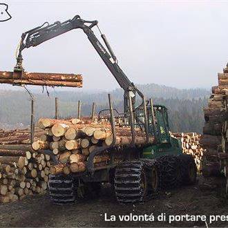 Raccolta, trasporto meccanizzato del legno e nella sua commercializzazione.