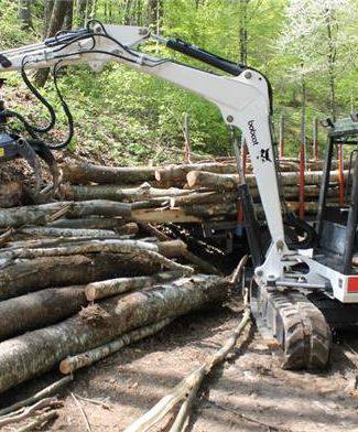 Lavori forestali conto terzi