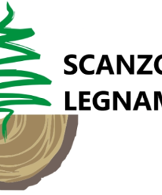 Scanzoni Legnami Srl