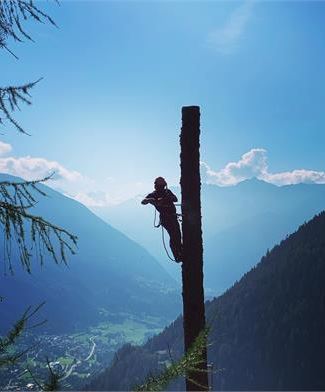 TREECLIMBING