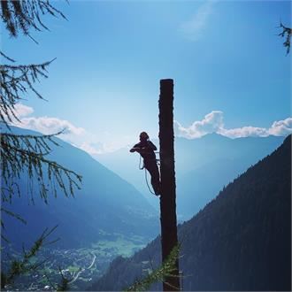 TREECLIMBING