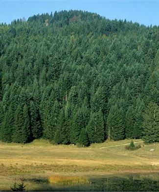 Paesaggi Estate