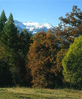 Paesaggi Estate