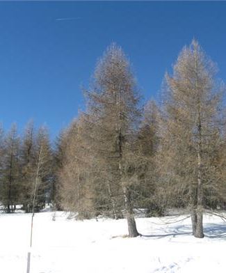 Paesaggi inverno