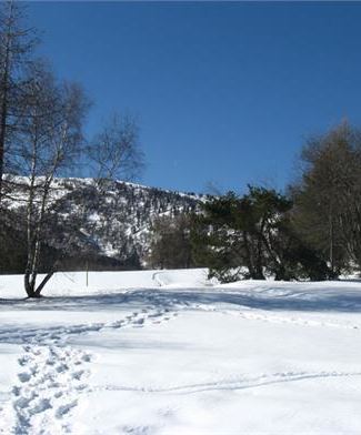 Paesaggi inverno