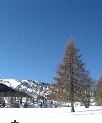 Paesaggi inverno