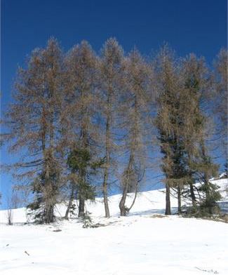 Paesaggi inverno