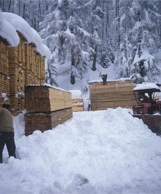 Paesaggi inverno