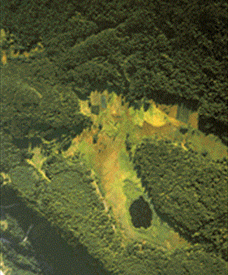 Biotopo Laghestel di Piné