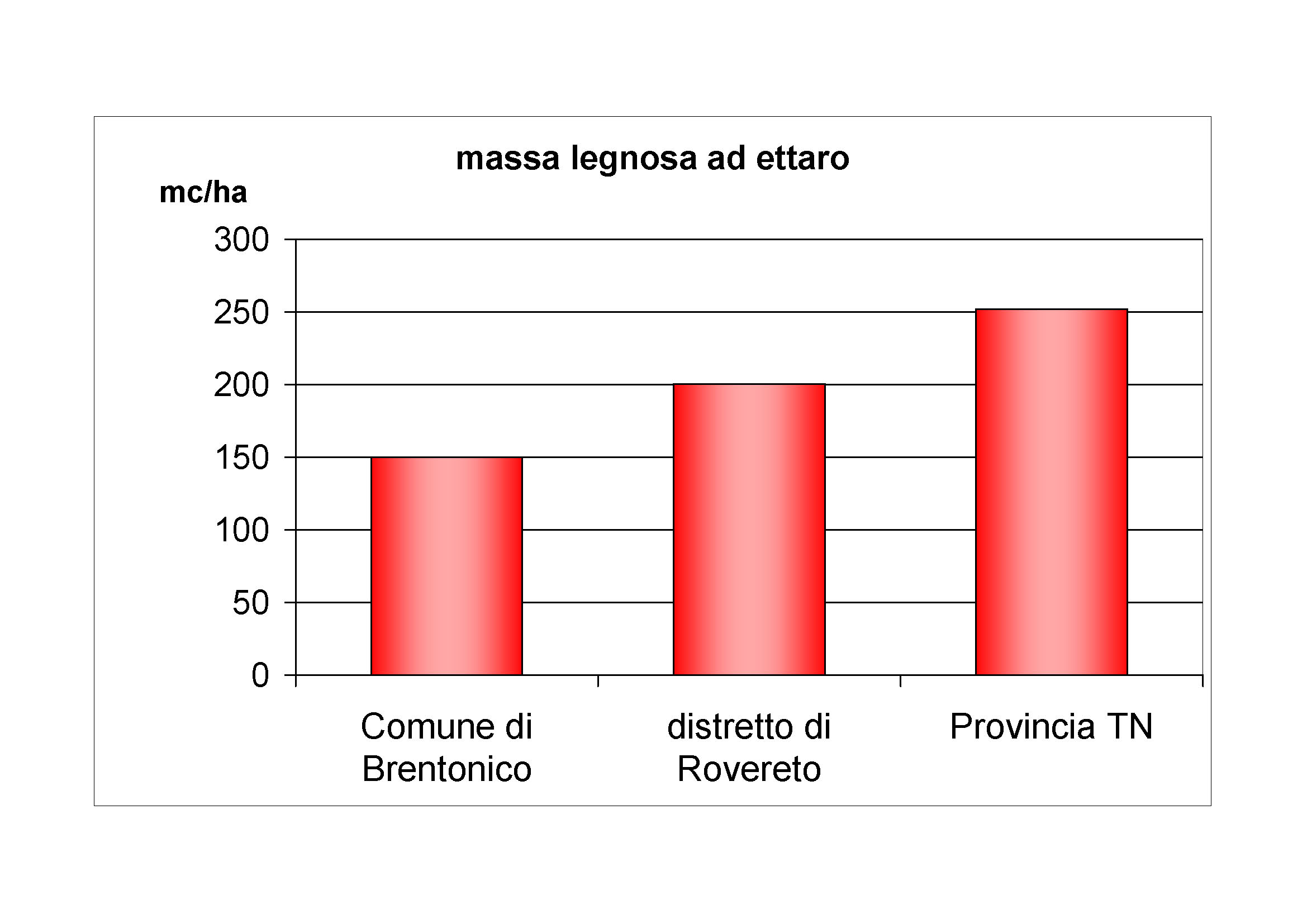 Massa legnosa ad ettaro