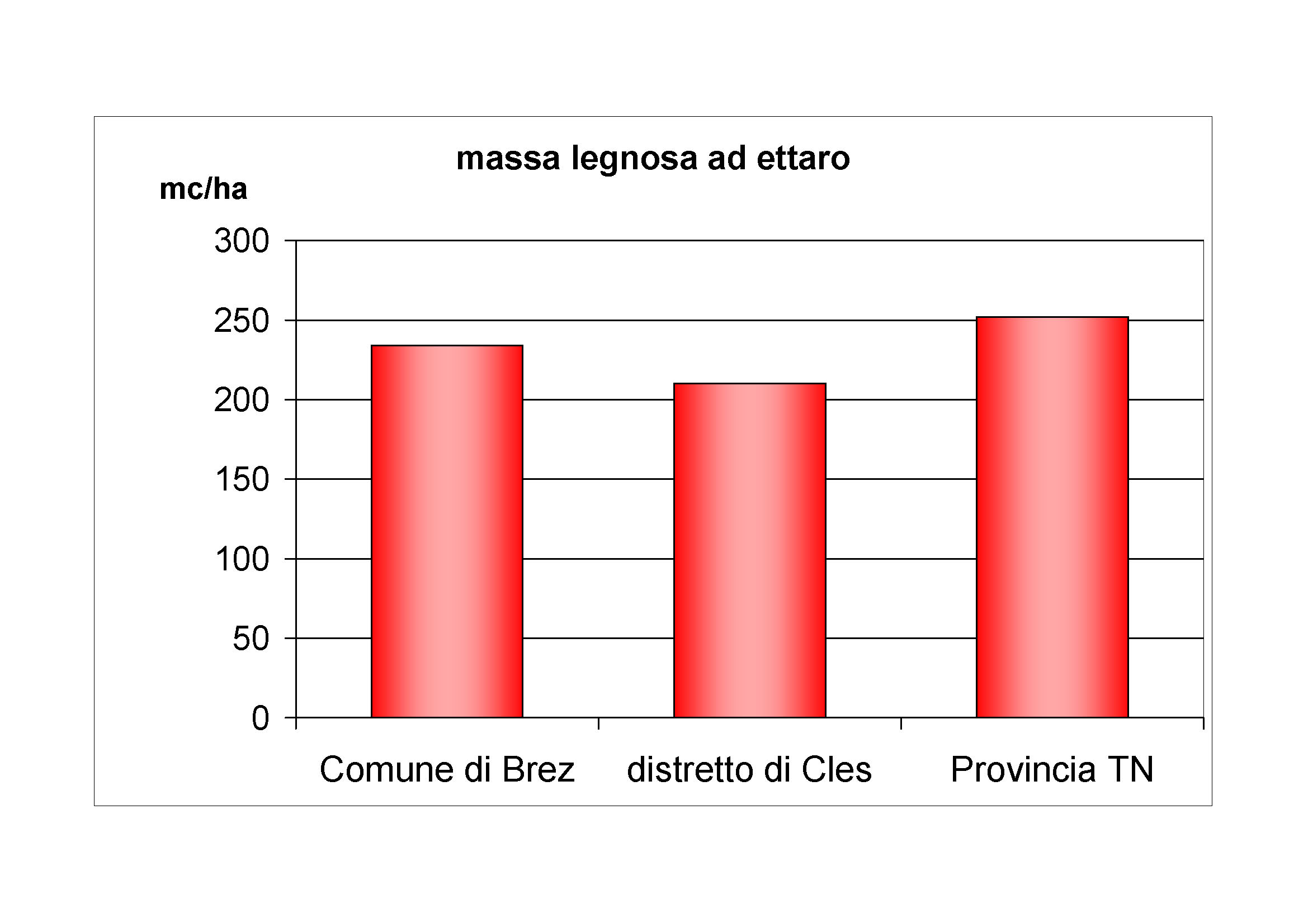 Massa legnosa ad ettaro