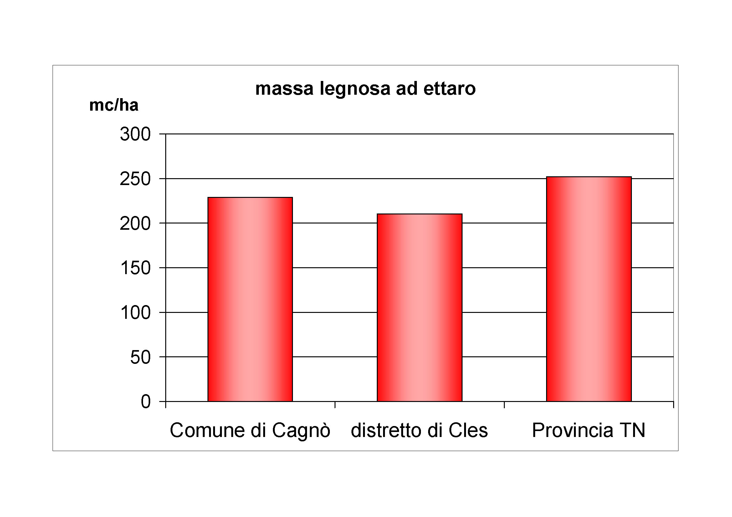 Massa legnosa ad ettaro