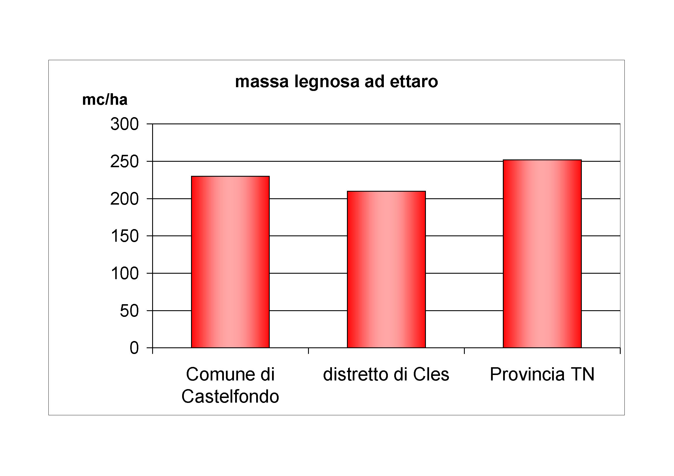 Massa legnosa ad ettaro