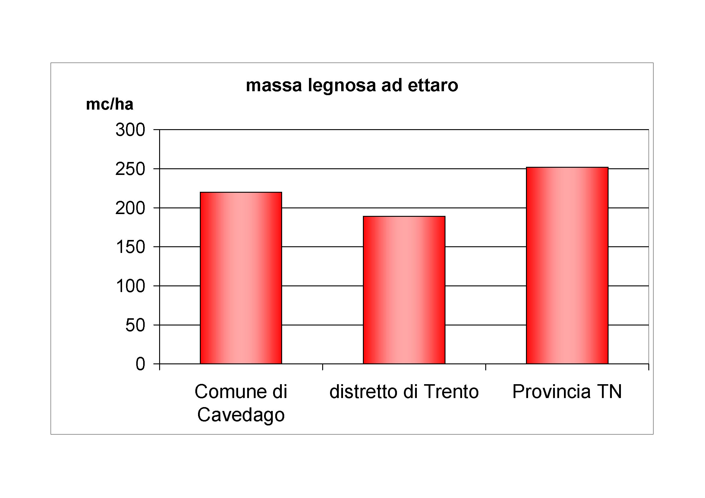 Massa legnosa ad ettaro