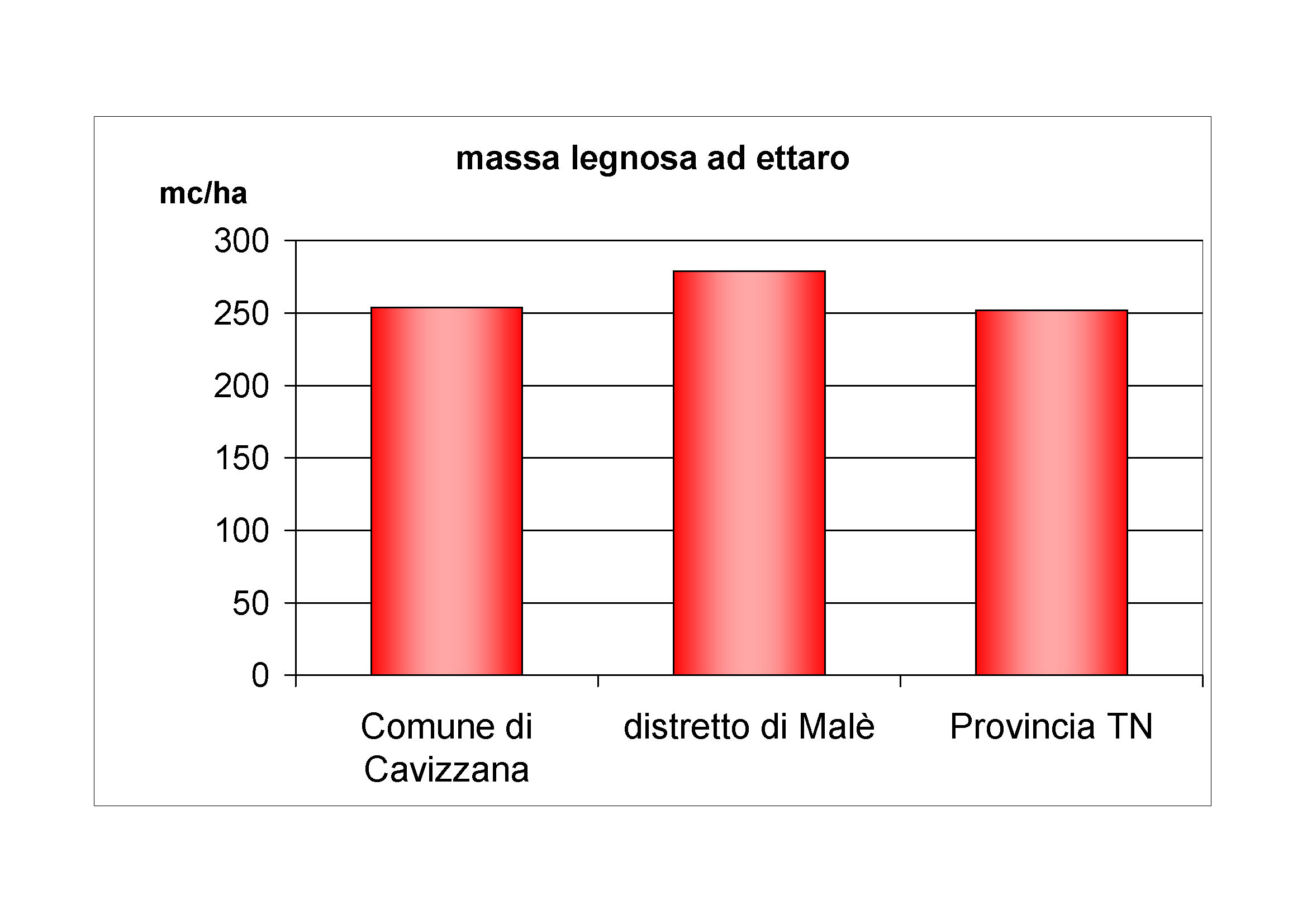 Massa legnosa ad ettaro