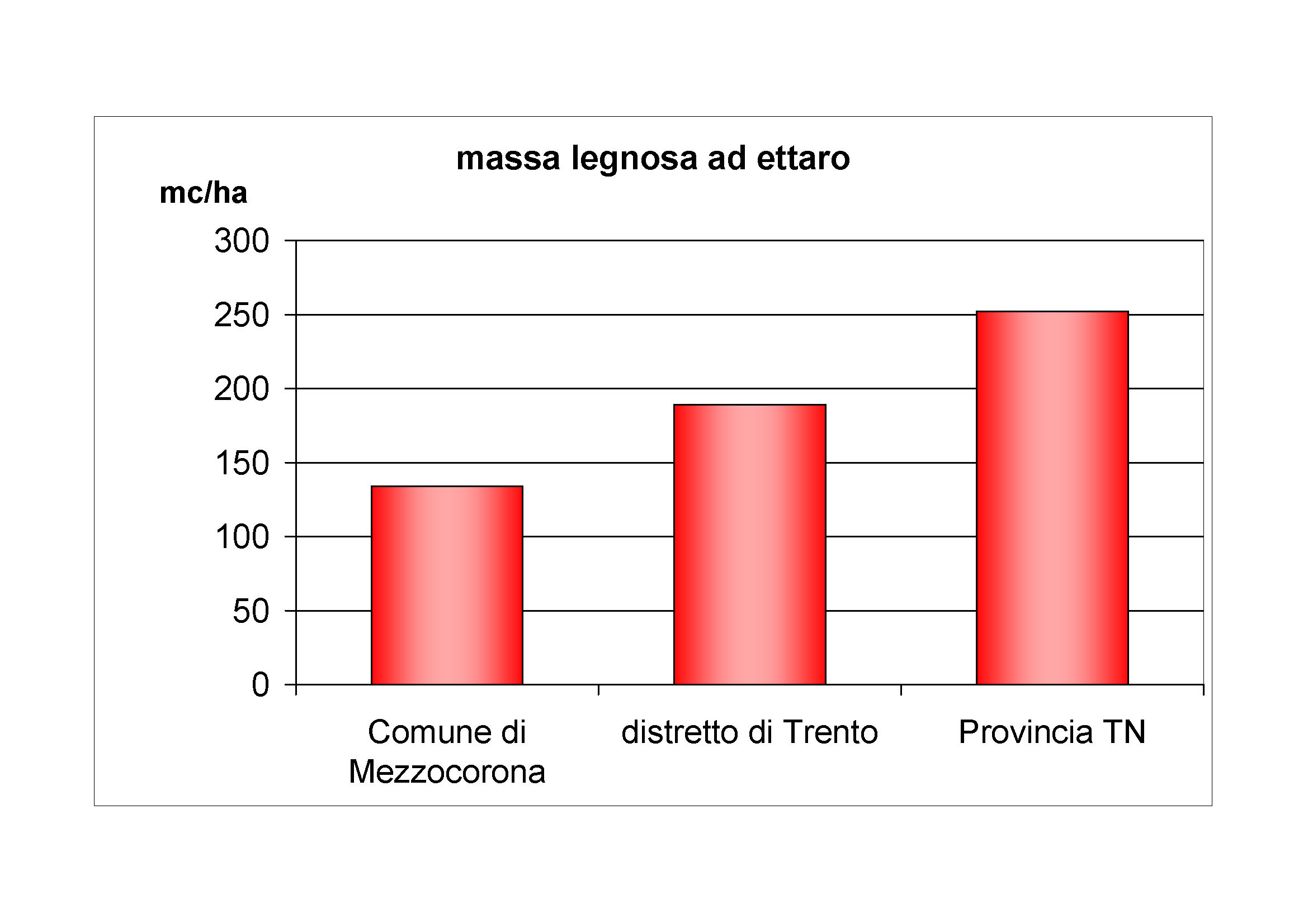 Massa legnosa ad ettaro