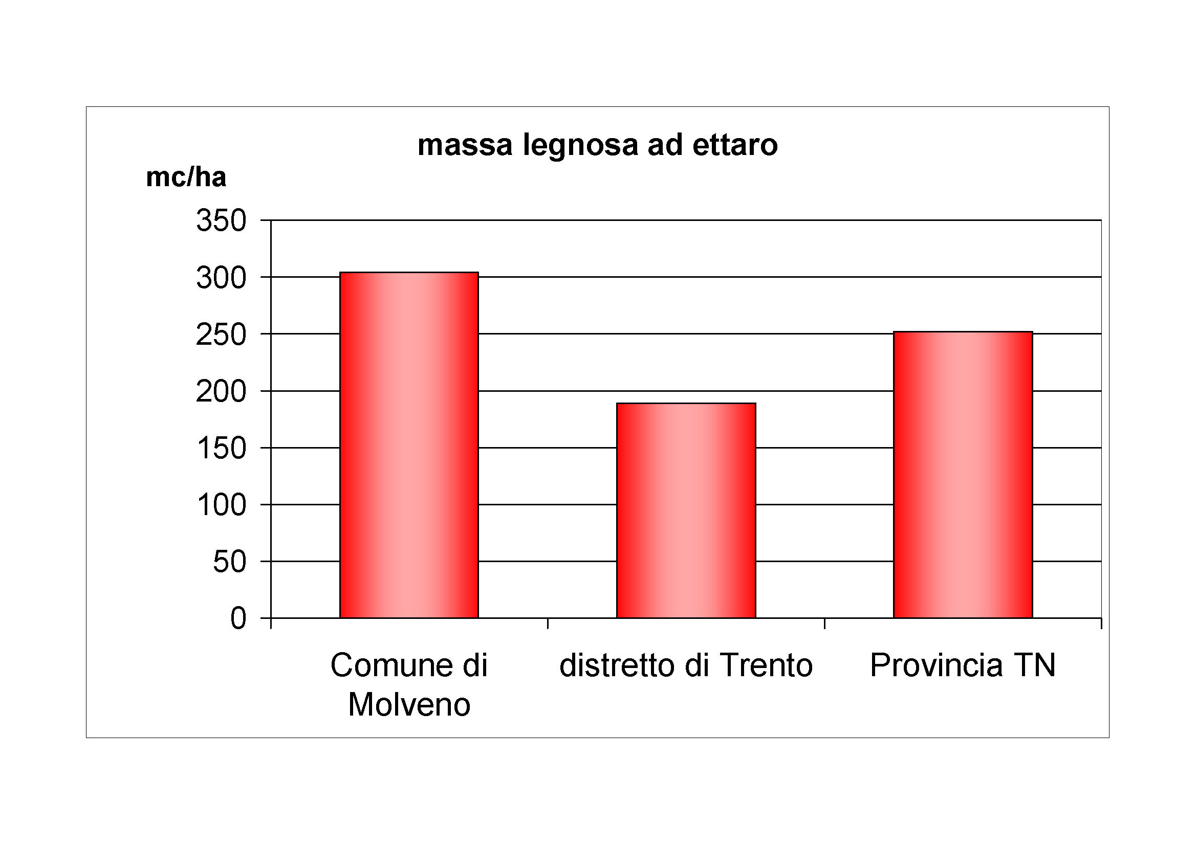 Massa legnosa ad ettaro