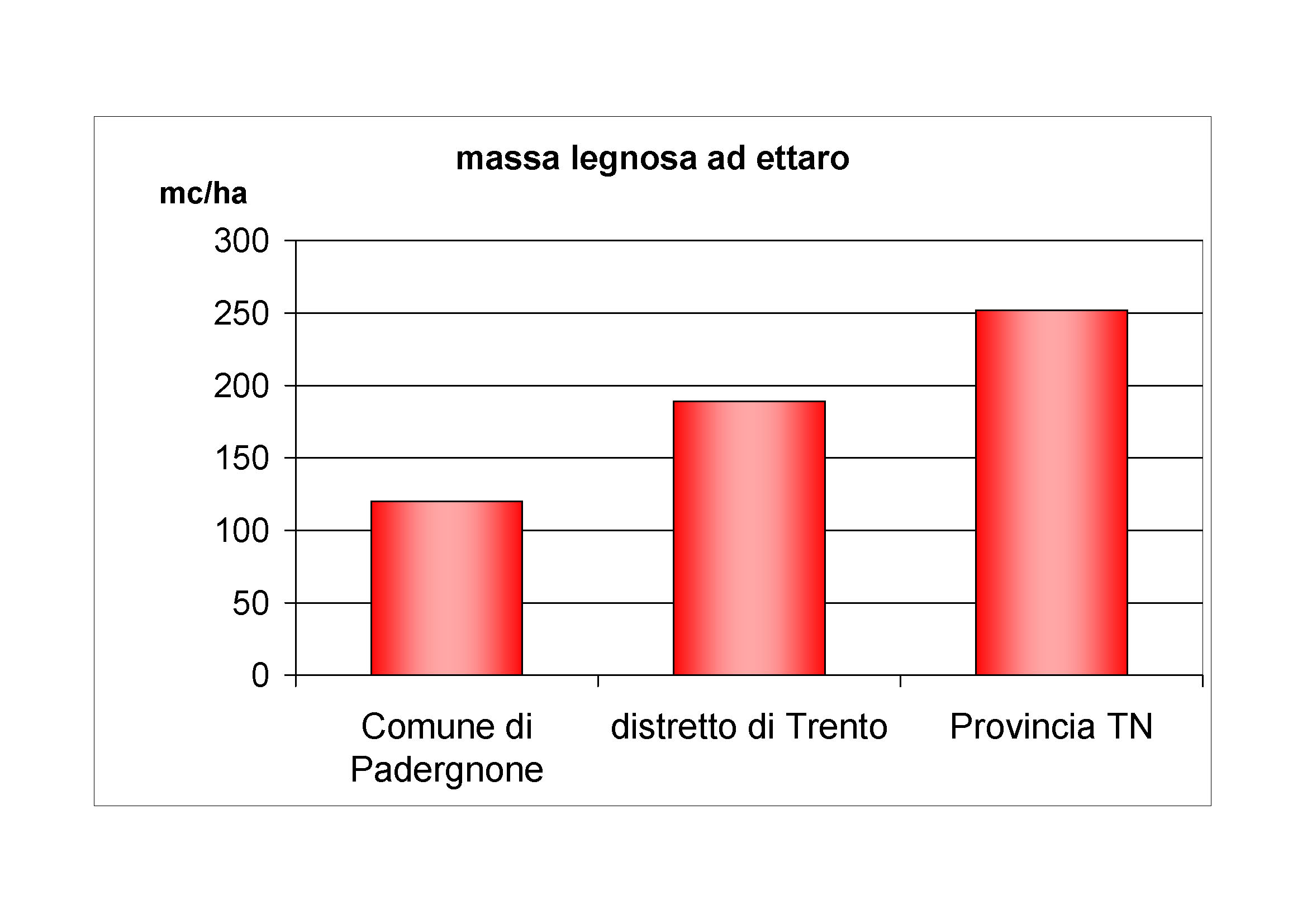 Massa legnosa ad ettaro