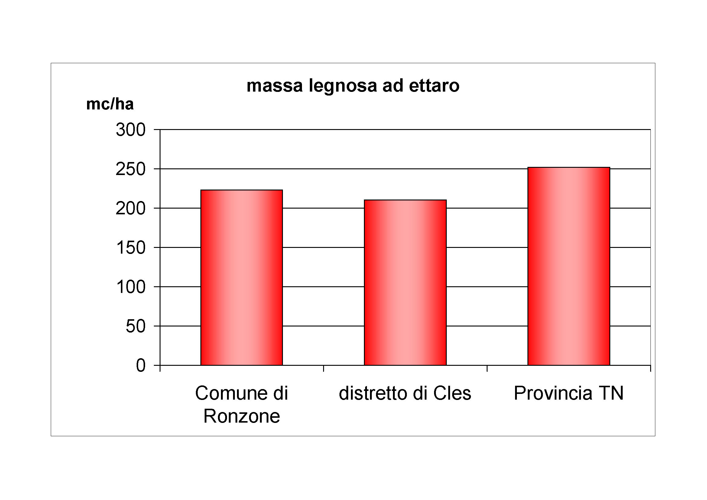 Massa legnosa ad ettaro