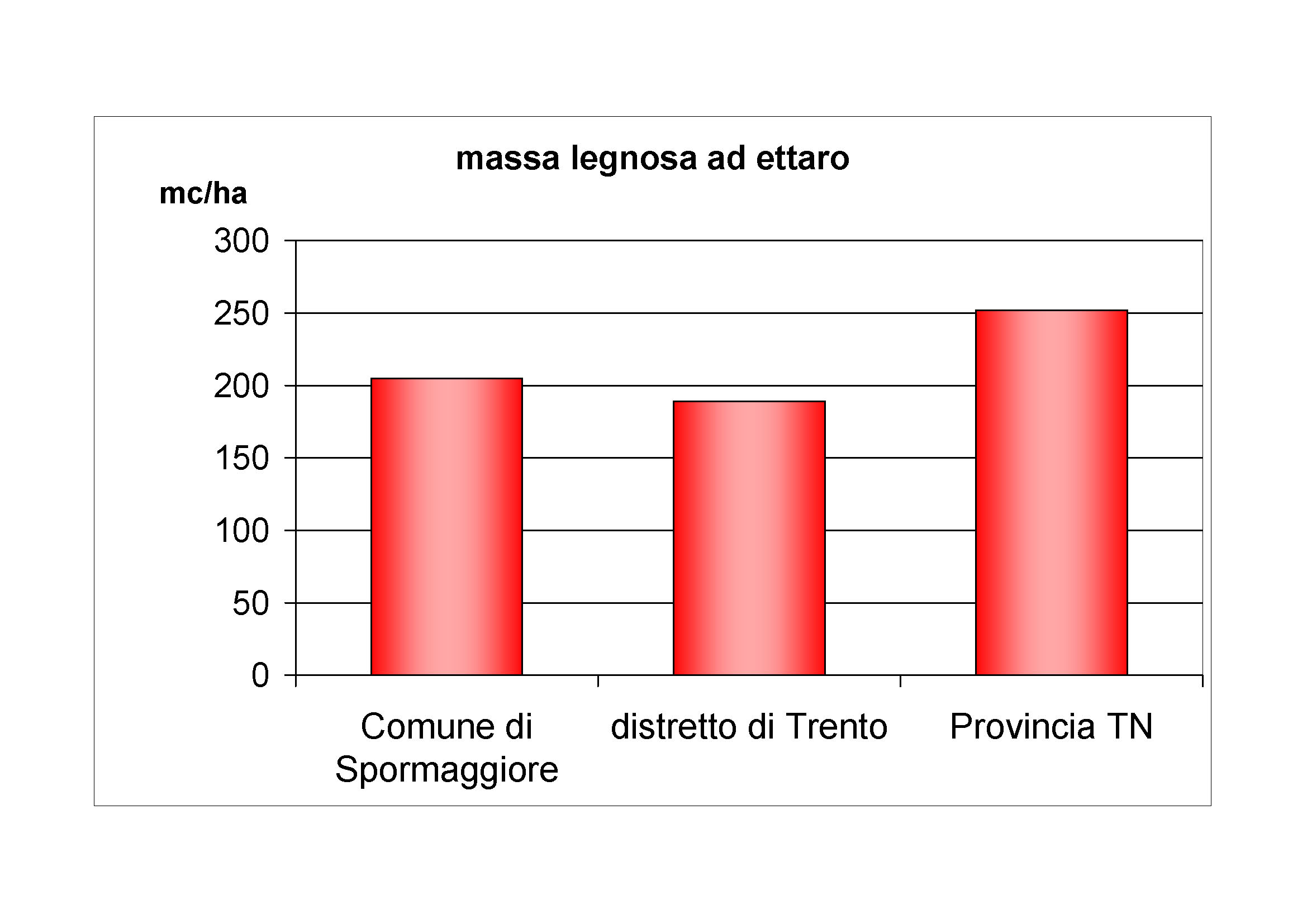 Massa legnosa ad ettaro