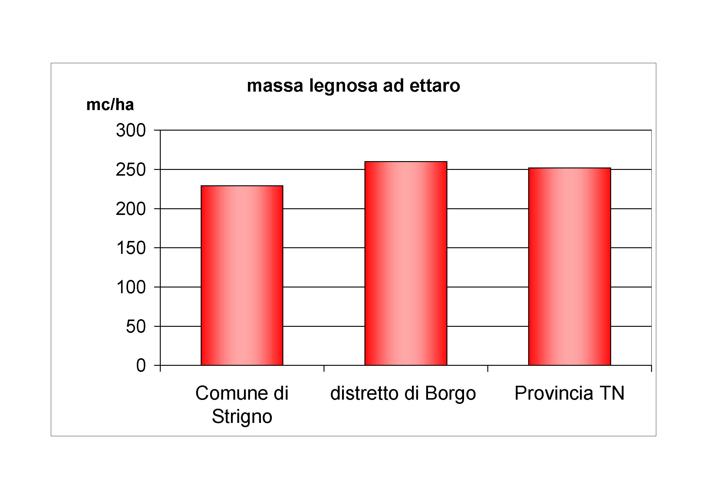 Massa legnosa ad ettaro