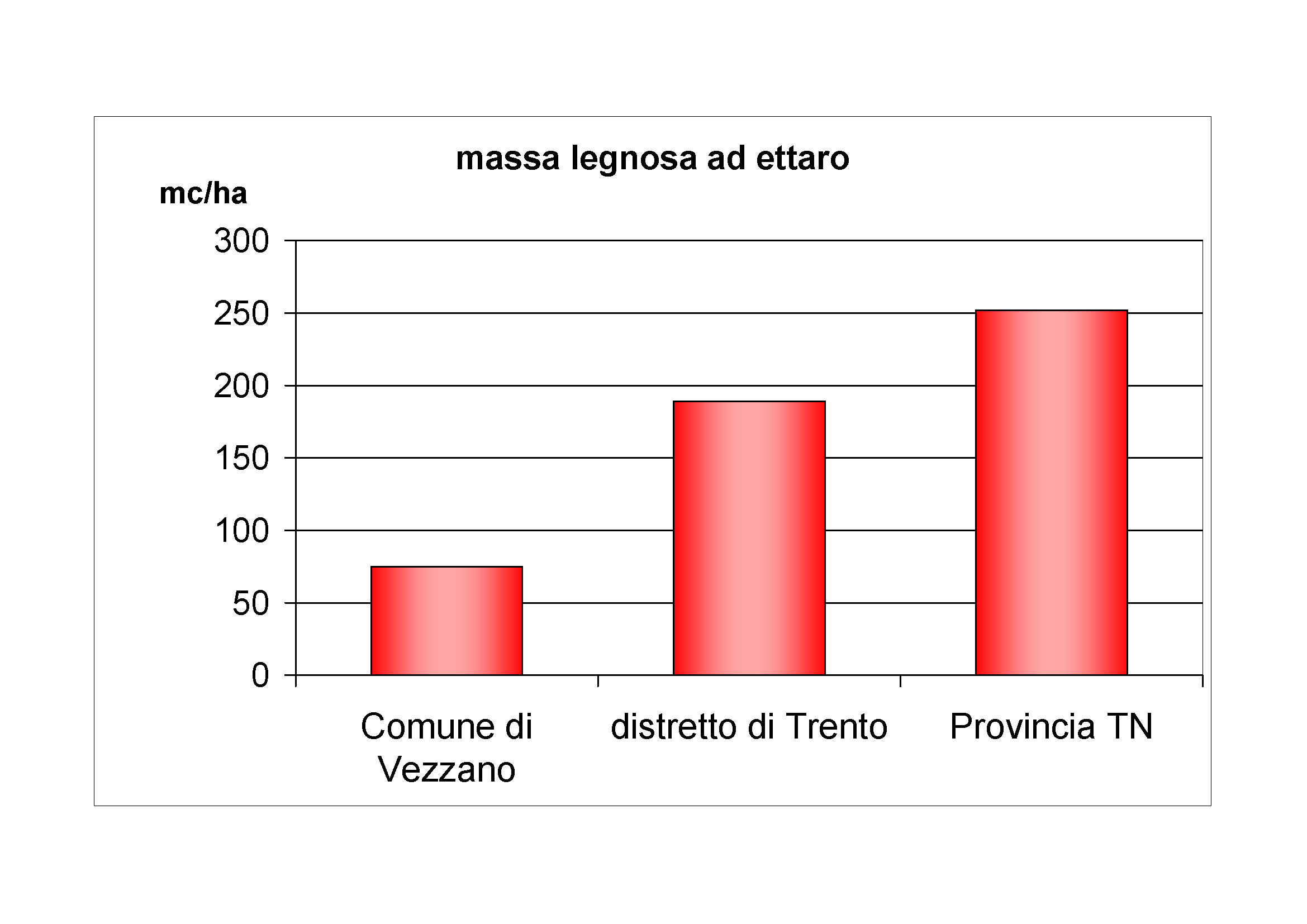 Massa legnosa ad ettaro