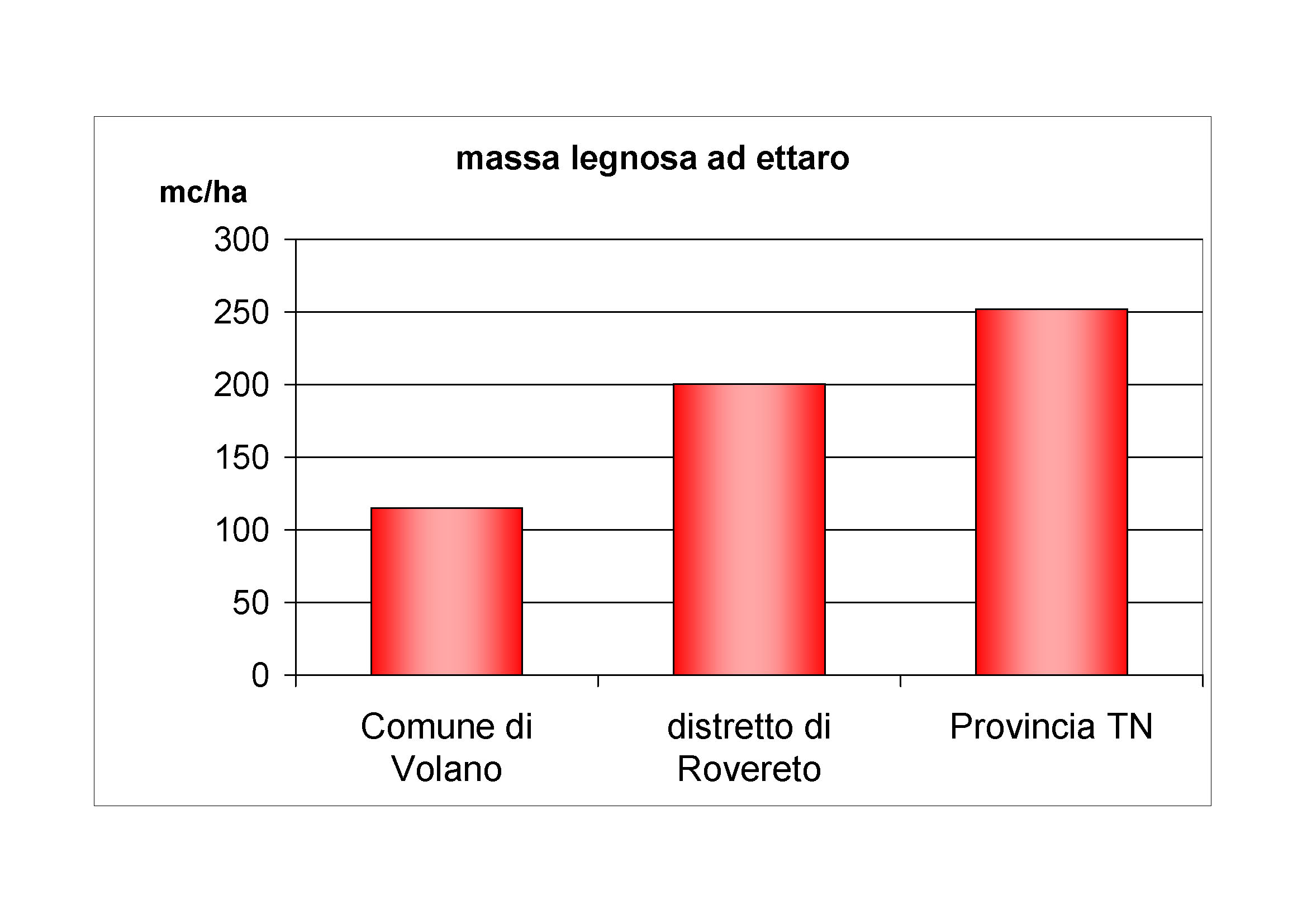 Massa legnosa ad ettaro