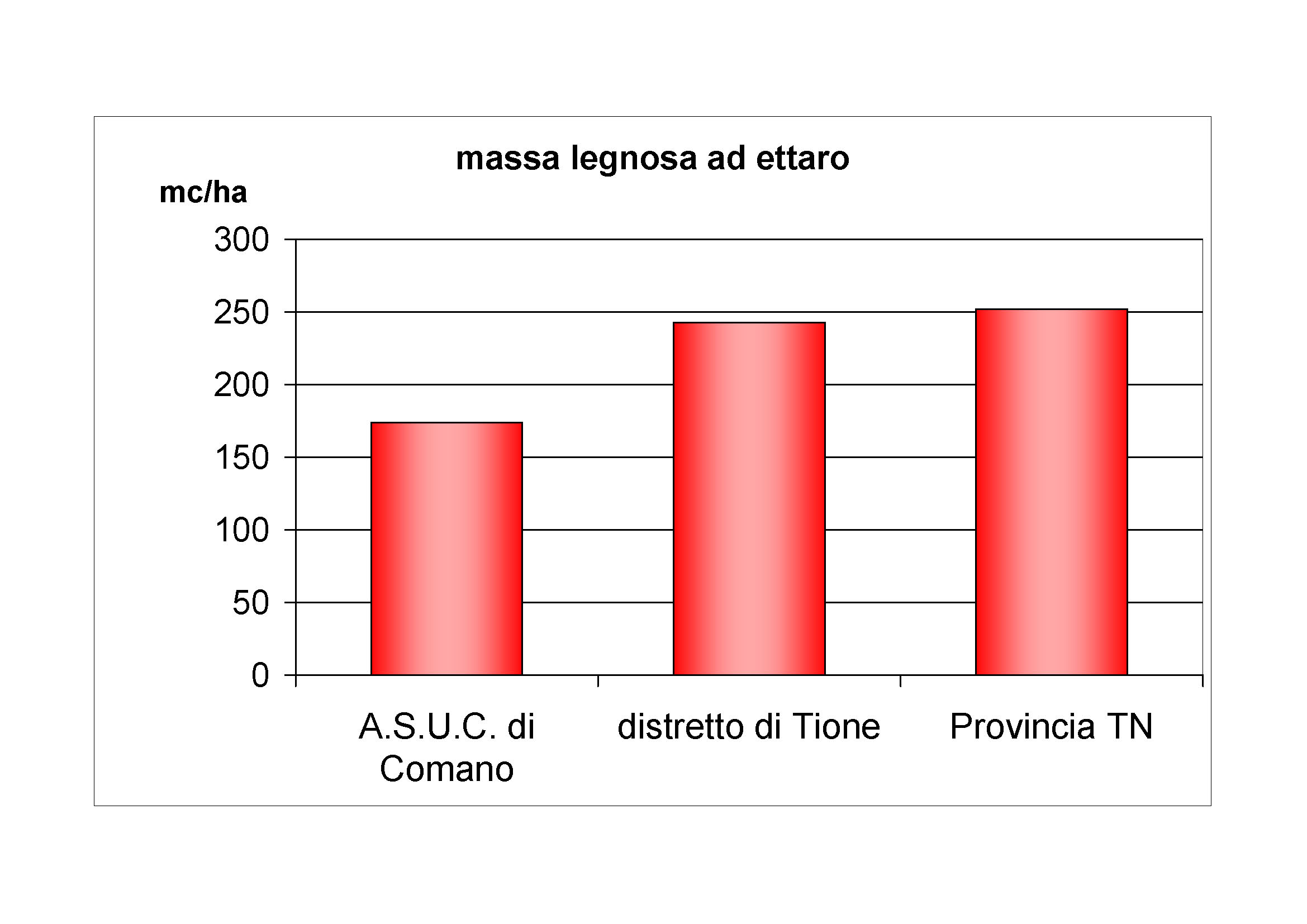 Massa legnosa ad ettaro