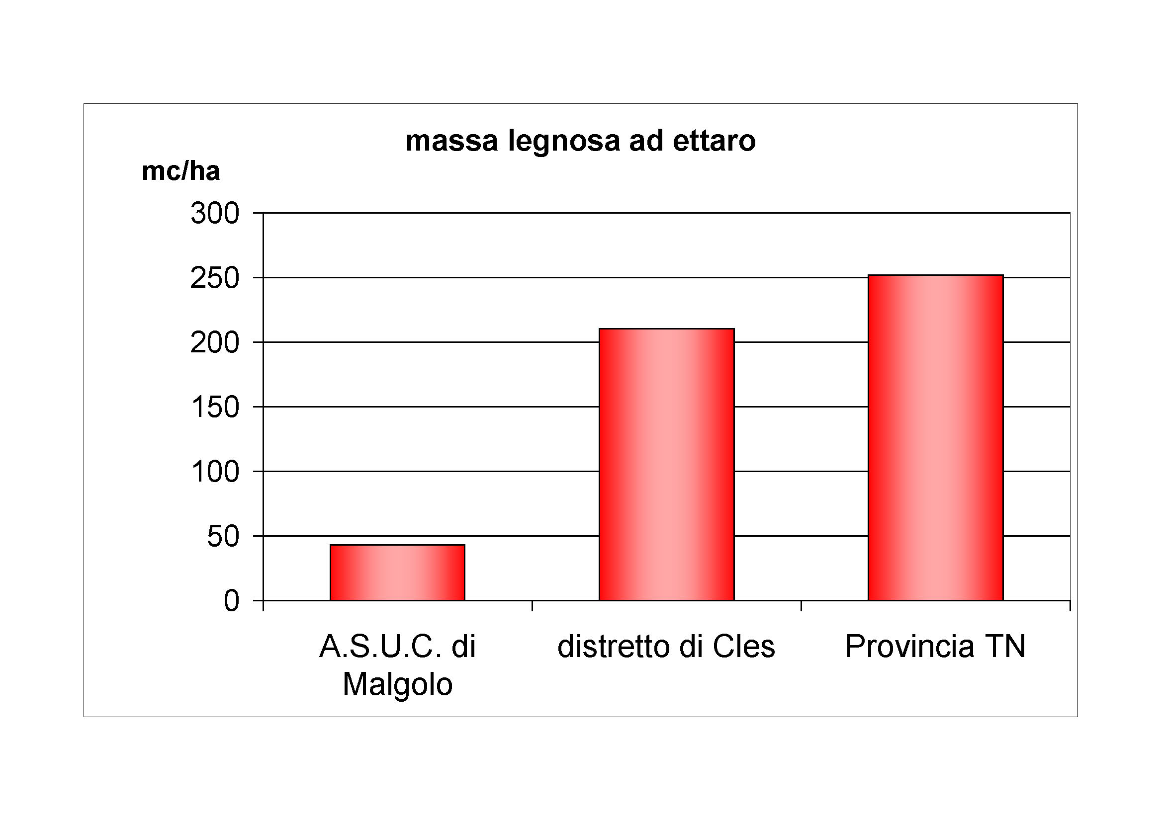 Massa legnosa ad ettaro