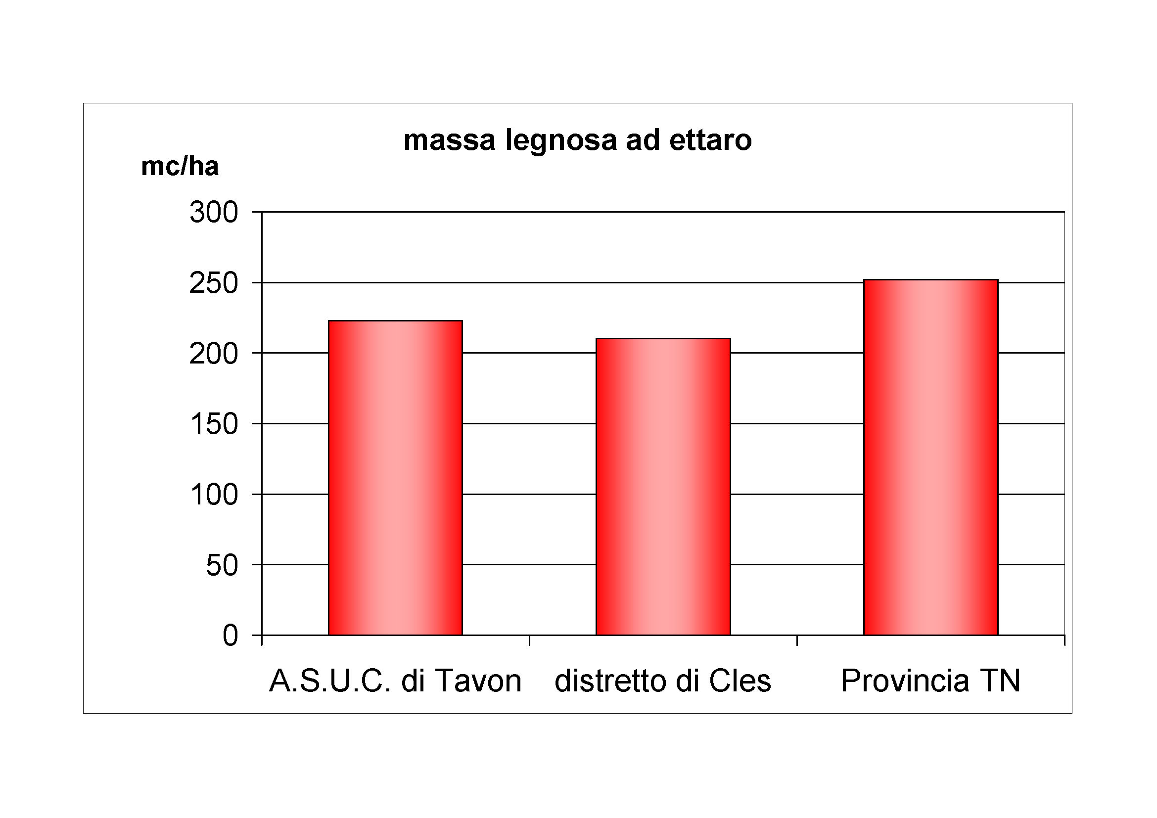 Massa legnosa ad ettaro