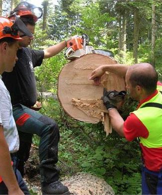 Corsi di qualificazione ed aggiornamento per addetti alle utilizzazioni forestali